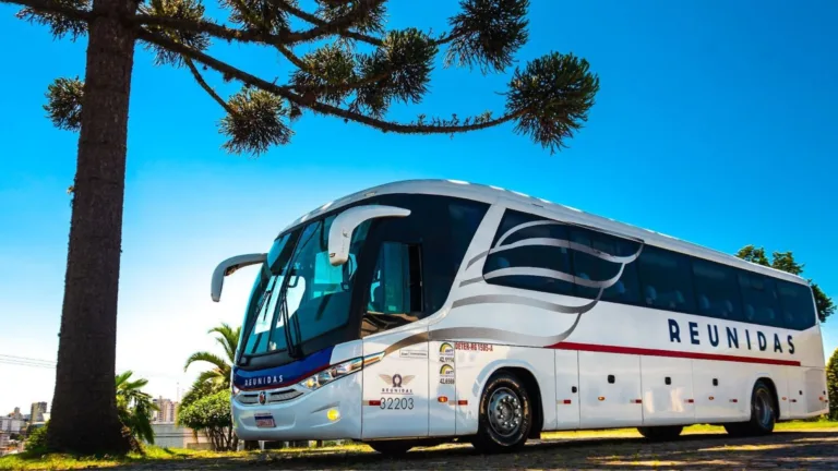 Férias de julho 6 dicas para viajar de ônibus sem imprevistos