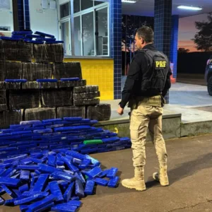 Homem é preso com 300 kg de maconha em carro roubado no Oeste de SC