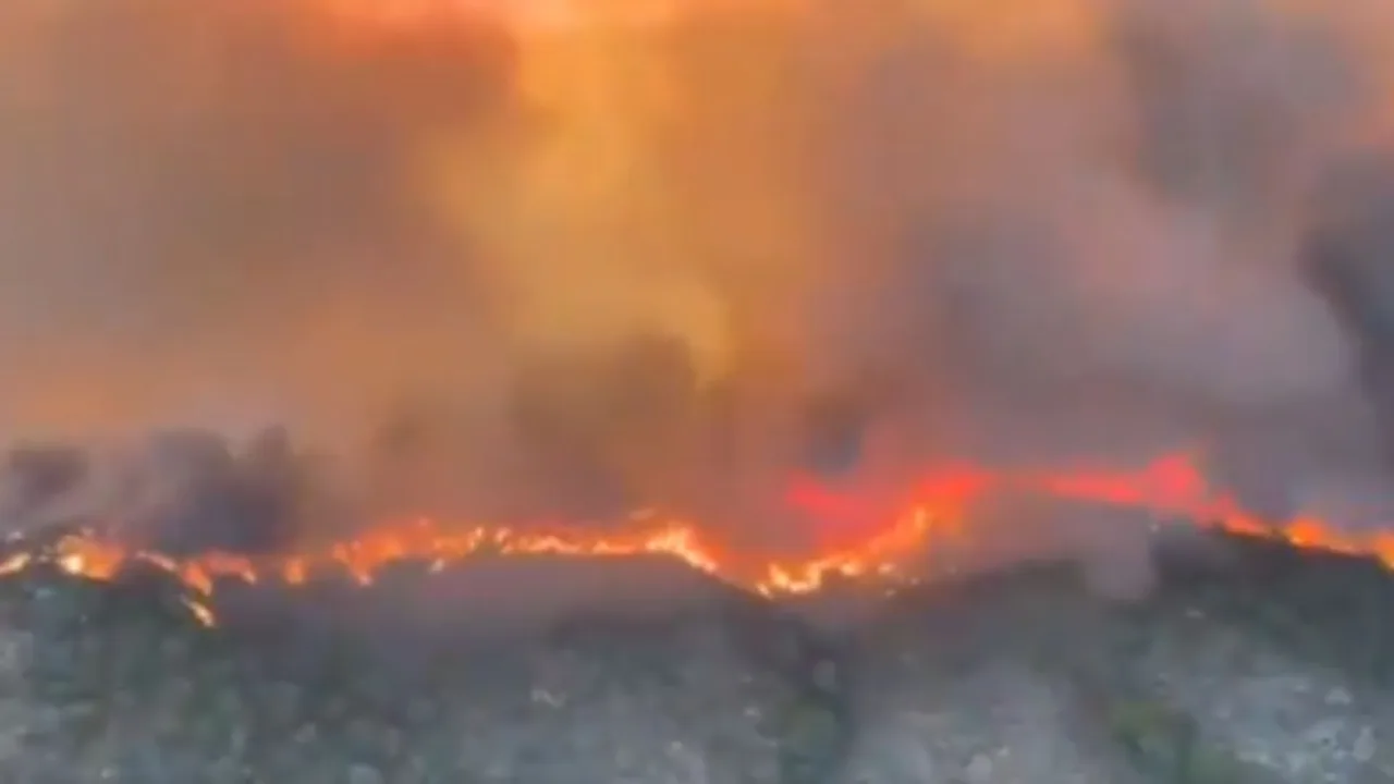 Incêndio florestal deixa 12 mortos e força evacuação de moradores no sul da Espanha