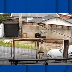 Policial Militar atira em cachorro durante ação da PM em Criciúma