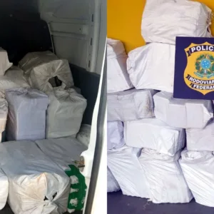 Quase meia tonelada de cocaína é apreendida na BR-101 em SC a caminho de SP