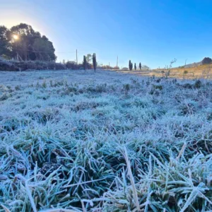 Serra Catarinense amanhece com frio intenso e temperaturas negativas
