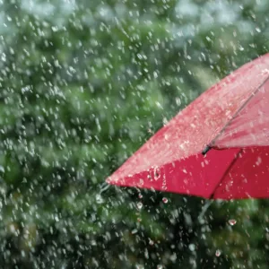Temporais voltam a atingir SC nesta sexta-feira; veja as regiões em alerta