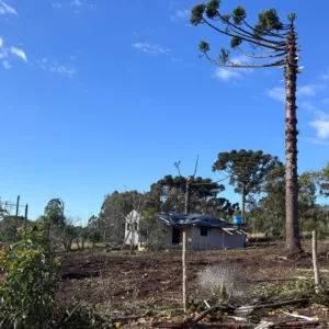 Tornado com ventos de até 200 kmh atinge município do Paraná