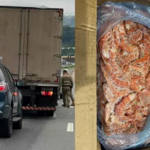 Ação em SC apreende 5 toneladas de camarão avaliadas em R$ 780 mil | Foto: Receita Federal/Divulgação
