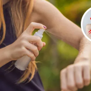 Anvisa proíbe venda e uso de três repelentes de insetos; veja os lotes afetados | Foto: Montagem Canva
