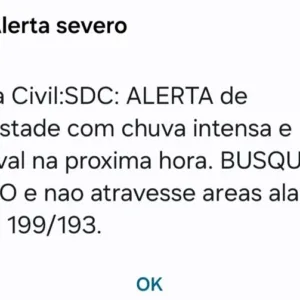 Foto: Reprodução Defesa Civil de Santa Catarina
