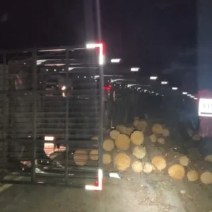 Caminhão tomba e espalha carga de toras na SC-390 em São Joaquim | Foto: PMRv Serra