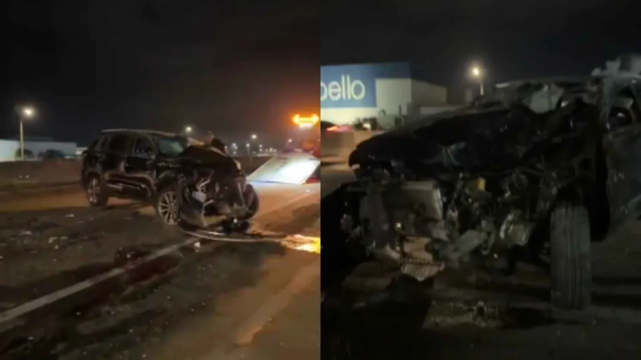 Cavalos invadem BR-101 provocam sequência de acidentes e acabam mortos em SC