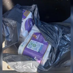 Funcionária de escola é presa por furtar papel higiênico em Capão Alto | Foto: PMSC