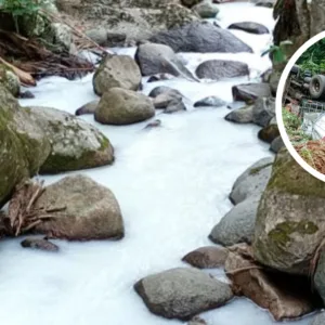 Água de ribeirão não deve ser consumida após acidente em SC