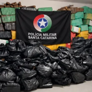 Polícia apreendeu quatro toneladas de maconha em Palhoça Foto: PMSC/Divulgação